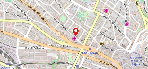 IRIS Lausanne Café-restaurant-Bar sulla mappa