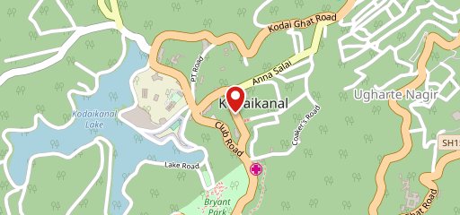 NEW AMBUR DUM BIRIYANI on map