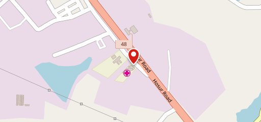 Brahmin's Veg Cafe on map