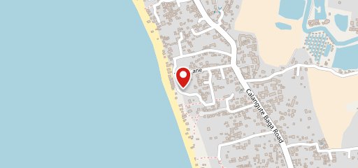 Thepinkelephant on map