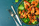 dish