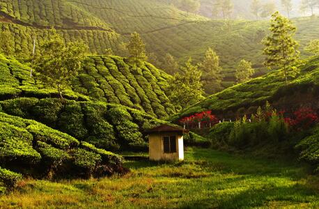 Munnar