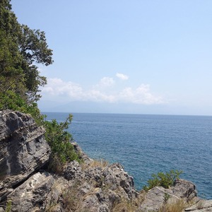 Scario